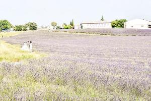 Scenic rural landscape photo