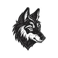 wolf, vector concept digital art ,hand drawn illustration