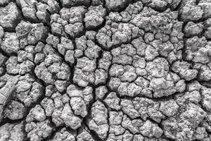 Dried cracked earth  ground texture and background photo