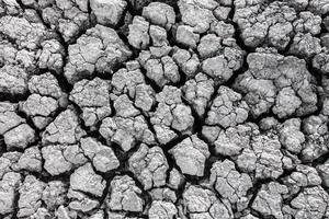 Dried cracked earth  ground texture and background photo