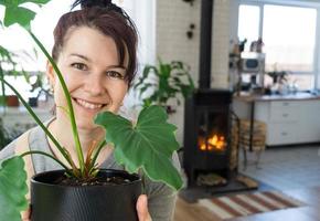 un contento mujer en un verde casa con un en conserva planta en su manos sonrisas, toma cuidado de un flor. el interior de un acogedor Respetuoso del medio ambiente casa, un hogar cocina, un pasatiempo para creciente y cría planta de casa foto