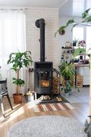 Black Metal Steel fireplace stove with fire and firewood in green home with indoor plant in flower pot in village house. Cozy home hearth in interior with potted plants photo