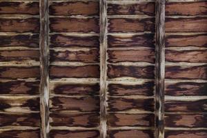 The texture of wood photo
