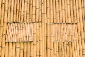 The texture of bamboo and window photo