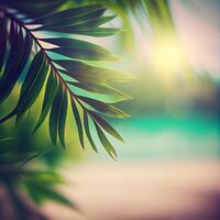 Blur beautiful nature green palm leaf on tropical beach with bokeh sun light flare wave abstract background. Summer vacation and business travel concept space - image photo