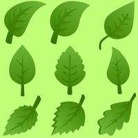 Leaf vector illustration. Green leaf icon for design element. Set of leaves for plant, tree, environment, eco, bio or energy. Icon sheet for design graphic resource of nature