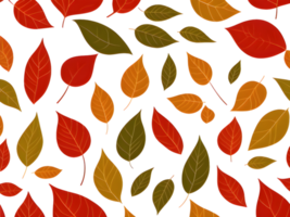 groep van verschillend gekleurde bladeren. herfst bladeren achtergrond. doorbladert vallen. patroon ontwerp. png