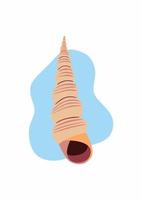 Spiral sea shell. Long swirled seashell. Marine shellfish, mollusk. Horn-shaped mollusc. Underwater twisted creature. vector