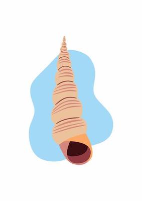 Spiral sea shell. Long swirled seashell. Marine shellfish, mollusk. Horn-shaped mollusc. Underwater twisted creature.