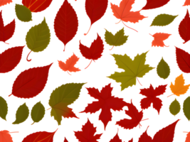 grupp av annorlunda färgad löv. höst löv bakgrund. leafs faller. mönster design. png
