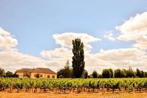 escénico rural paisaje foto