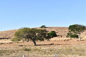 Scenic rural landscape photo