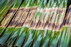 Kanom Jark, Thai sweetmeat made of flour, coconut and sugar with nipa plam leaves photo