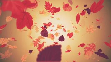 Autumnal background animation - beautiful autumn colored leaves gently falling from the sky in a seamless loop. video