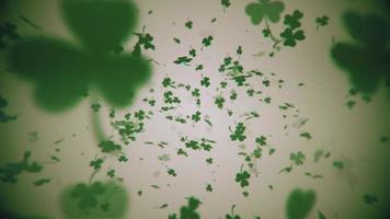 Falling green shamrocks - loopable, full hd Saint Patricks Day motion background. video