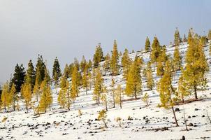 Scenic mountain landscape photo