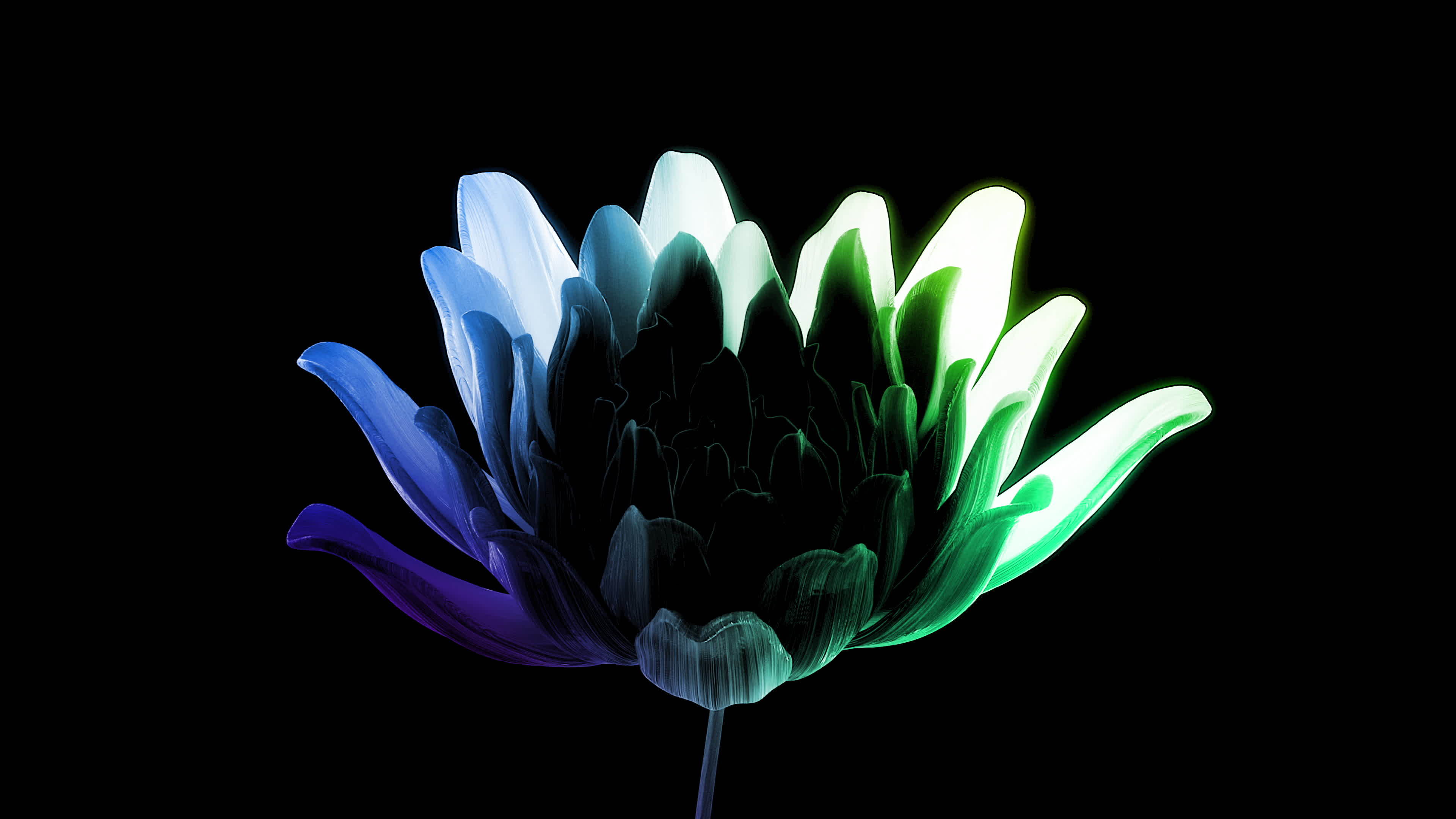 Abstract Background Video 21890068 Stock Video At Vecteezy Abstract Background Video 21890068 Stock Video At Vecteezy