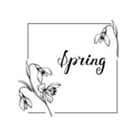 First spring flowers. Snowdrops vector graphic illustration. Delicate flowers frame for celebration design.