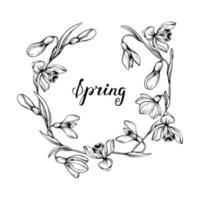 First spring flowers. Snowdrops vector graphic illustration. Delicate flowers circle frame for celebration design.