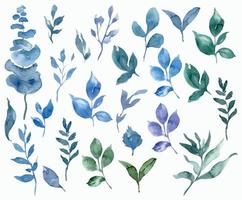Eucalyptus and Greenery Watercolor Illustrations Set, Hand Painted Watercolor Plants and Leaves vector