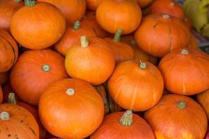 pequeñas calabazas naranjas foto