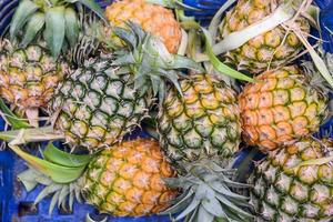 Fresh pineapples in the market photo