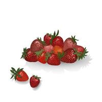 Fresh strawberries, detailed realistic ripe berries with green leaves on a white background. 3D vector illustration. For packaging design, banners, postcards, etc.