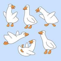 Goose, geese set of illustrations, cute cartoon drawings. Animal character in various poses vector