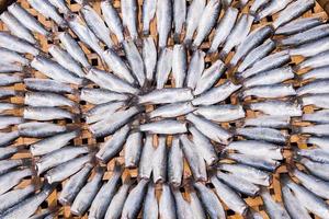 Sun dried salty fish on wooden rack photo