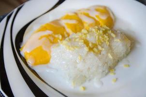 Sticky rice with mangoes with coconut milke on top1 photo