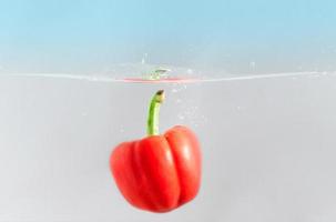 The colorful capsicum or bellpepper in the water photo