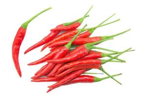 red chilies on white background photo