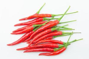 red chilies on white background photo