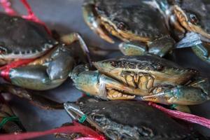 alive Crabs ready to be cooked at market photo