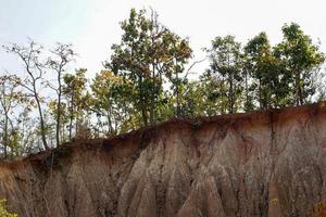 Soil Horizon Each horizon is different in color, surface texture, structure, porosity and soil reaction. There are 5 horizons, namely O, A, B, C and R horizon respectively from the soil surface. photo