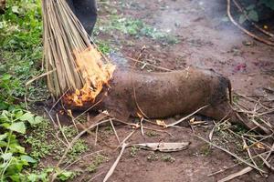 ardiente el pelo apagado y asado foto