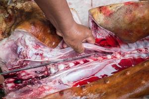 slicing pork with knife photo