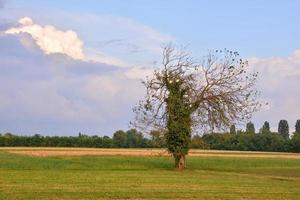 Scenic rural landscape photo