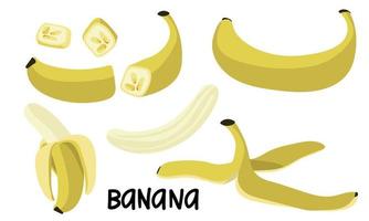 un conjunto de bananas en diferente versiones es todo y en sección. bananas Cortado, medio. pelar el banana, amarillo fruta. tropical frutas, plátano meriendas o vegetariano comidas. icono conjunto aislado vector