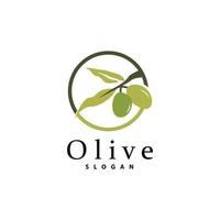 Olive Oil Logo, Olive Leaf Plant Herbal Garden Vector, Simple Elegant Luxurious Icon Design Template illustration vector