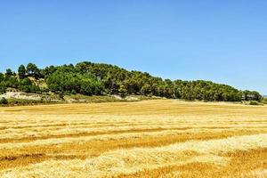 Scenic rural landscape photo