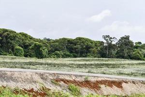 Scenic rural landscape photo