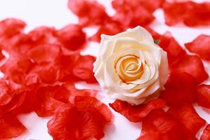 beautiful red flowers rose bouquet photo