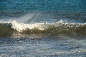 enormes olas del mar foto