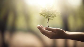 Artistic Hands Embrace Nature's Beauty Holding Tree Over Blurred Background photo