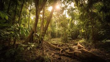 A peaceful forest clearing bathed in warm sunlight, surrounded by tall trees and lush foliage, with a gentle stream trickling through the undergrowth and a distant mountain range visible photo