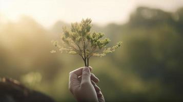 Artistic Hands Embrace Nature's Beauty Holding Tree Over Blurred Background photo