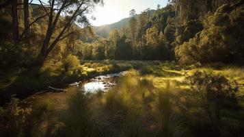 A peaceful forest clearing bathed in warm sunlight, surrounded by tall trees and lush foliage, with a gentle stream trickling through the undergrowth and a distant mountain range visible photo