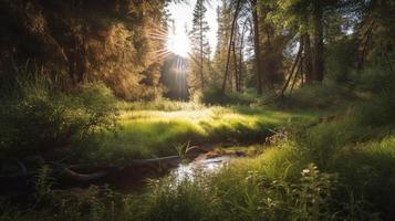 A peaceful forest clearing bathed in warm sunlight, surrounded by tall trees and lush foliage, with a gentle stream trickling through the undergrowth and a distant mountain range visible photo