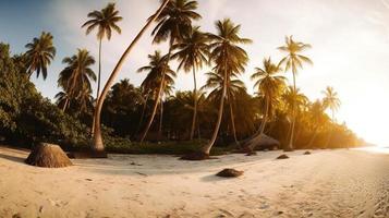 Tropical Paradise or Coconut Palm Beach or White Sand Lagoon photo